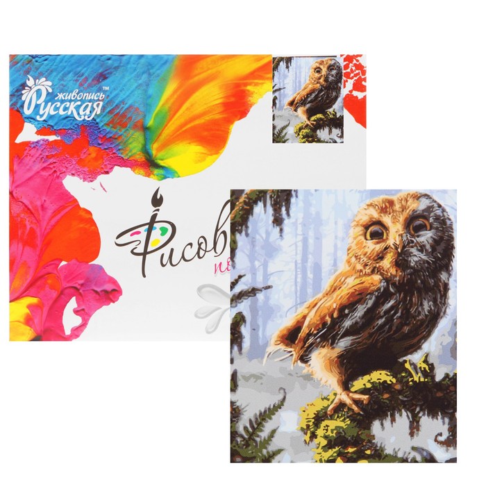 Рисование по номерам "Сова на ветке"