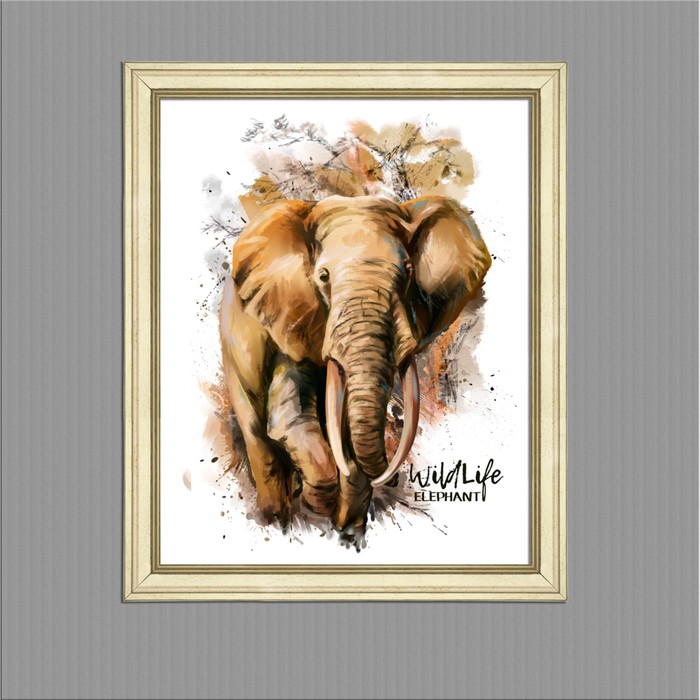 Картина в раме "Слон", 40х50см