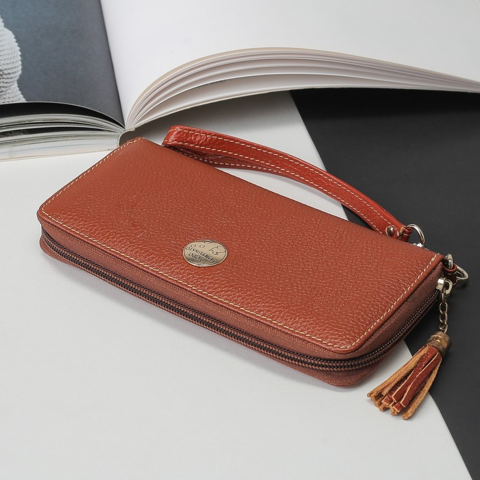 Кошелёк женский, 3 отдела, для карт, для монет, с ручкой, цвет коричневый