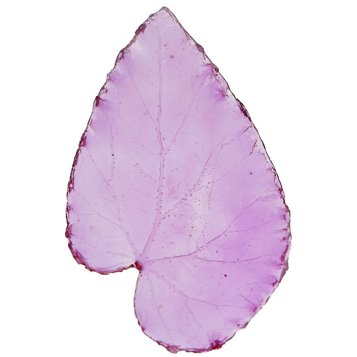 Молд пластик st-0090-2 "Лист"