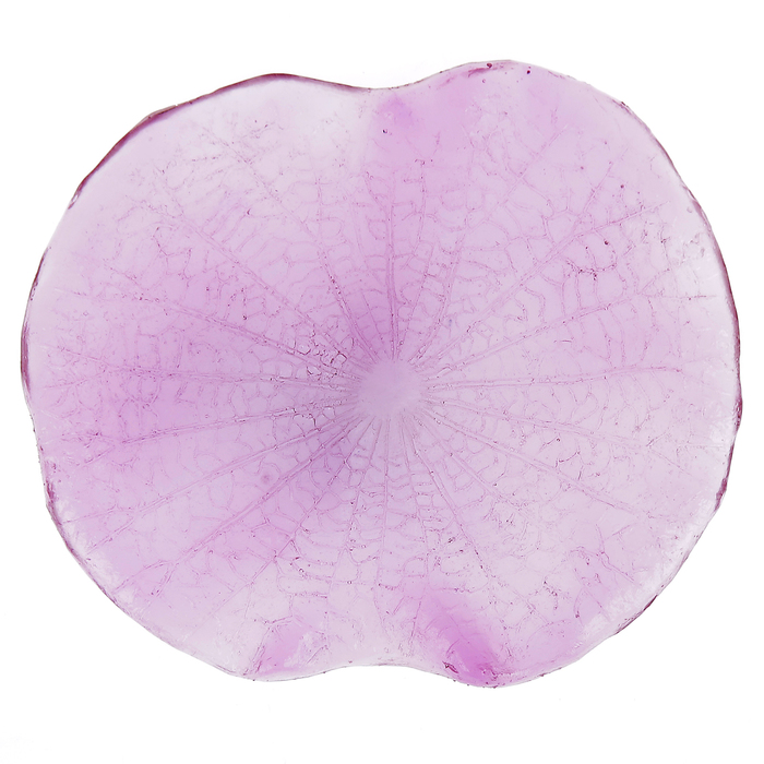 молд пластик st-0105-2 "Лист лотоса-2"