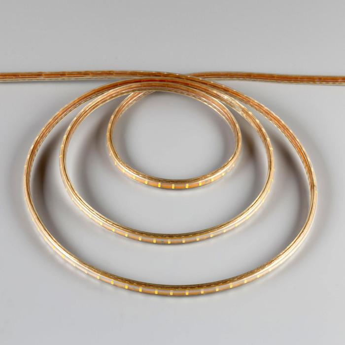 Светодиодная лента 220В,SMD3014, 100 м, IP68, 108 LED, 7,2 Вт/м, 13-15 Лм/LED, AC, Т.БЕЛЫЙ