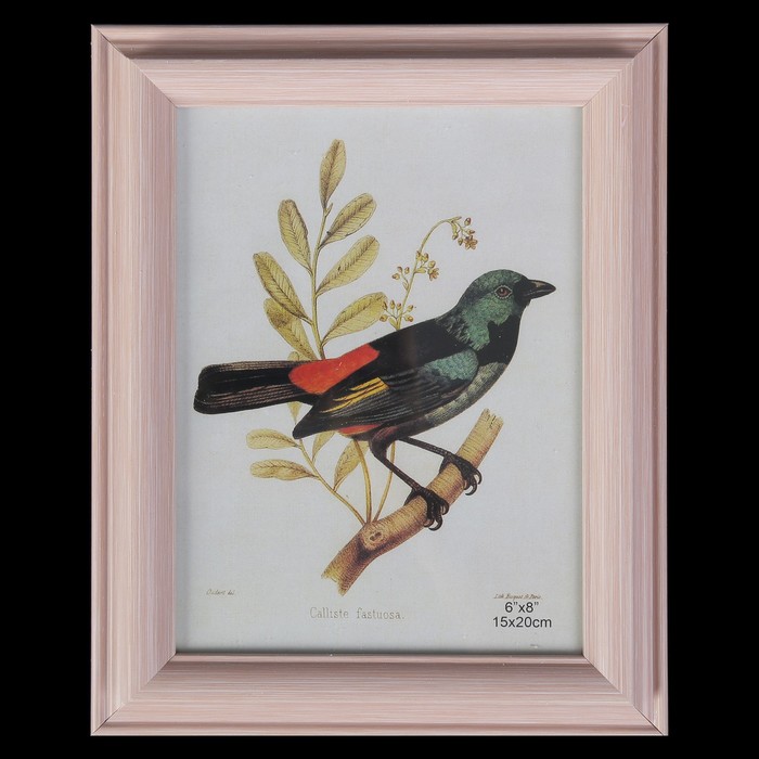 Фоторамка пластик 15х20 см "Розовая пастила"