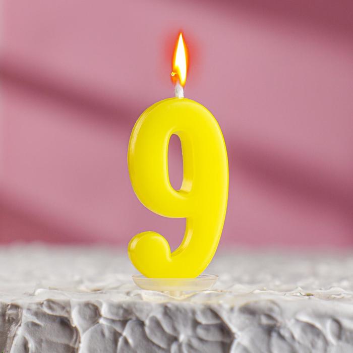 

Свеча в торт на шпажке, цифра 9, МИКС, 4.5х2.5 см