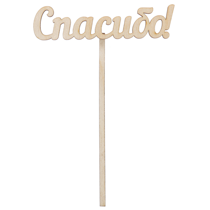 Топпер "Спасибо" из фанеры, 12х3 см (ТПР-236)