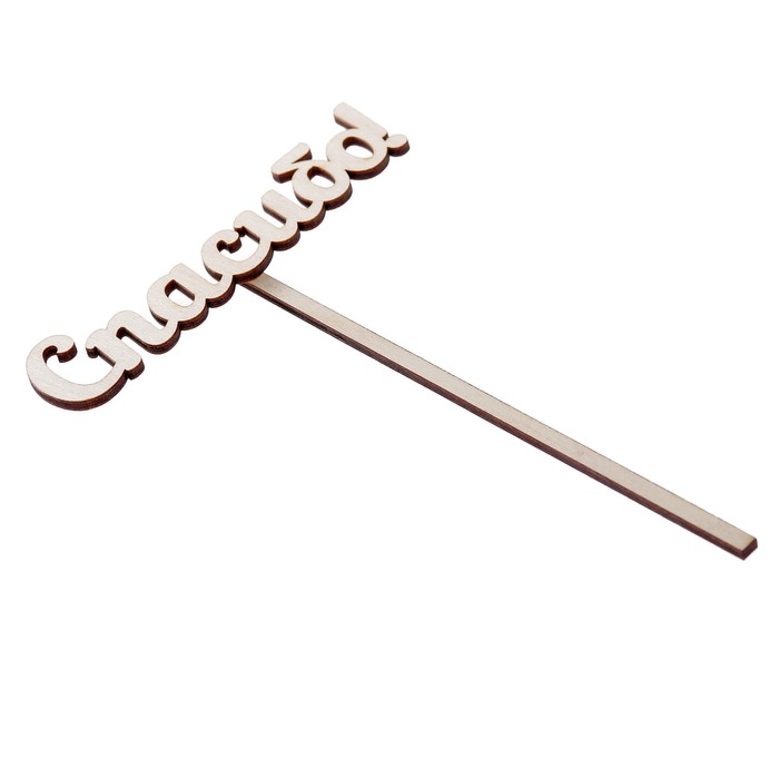 Топпер "Спасибо" из фанеры, 12х3 см (ТПР-236)