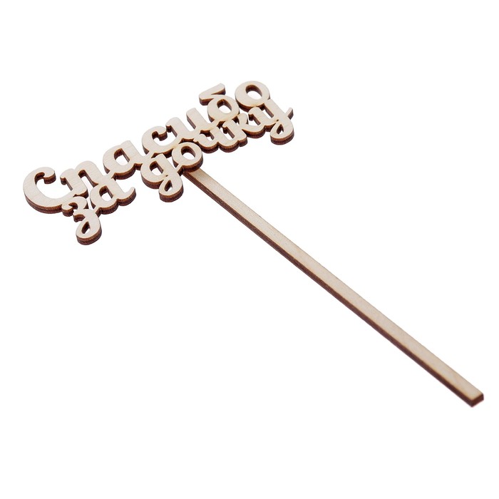 Топпер "Спасибо за дочку" из фанеры, 10х4 см (ТПР-238)