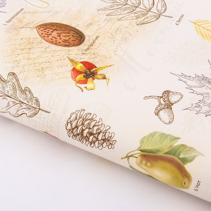 Бумага упаковочная глянцевая "Гербарий" 70 х100 см
