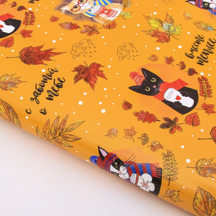 Бумага упаковочная глянцевая "Персонажи" 70 х100 см