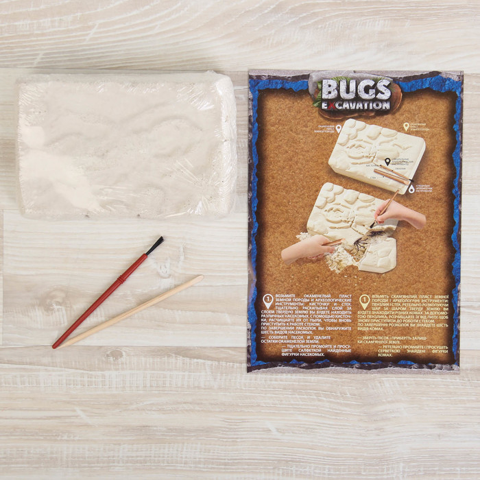 Набор для проведения раскопок серия "BUGS EXCAVATION" жуки BEX-01-03 BEX-01-03