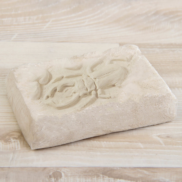 Набор для проведения раскопок серия "BUGS EXCAVATION" жуки BEX-01-04 BEX-01-04