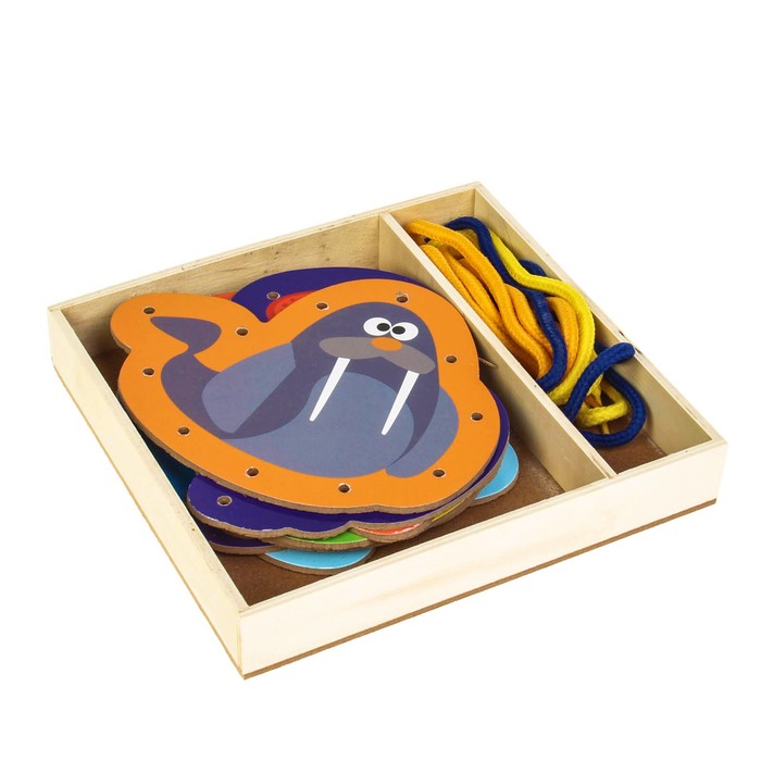 Шнуровка в коробке "Морские обитатели", 8 шт.