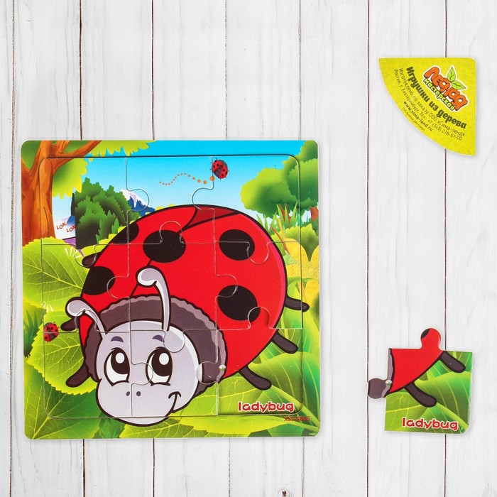 Пазл "Учим насекомых. Божья коровка"