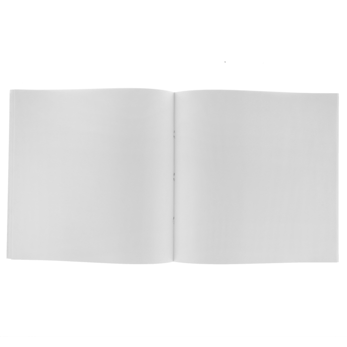 Альбом для рисования (скетчпад) 29 х 29 см, 32 листа на скрепке SPIRIT OF EARTH, блок 100г/м2