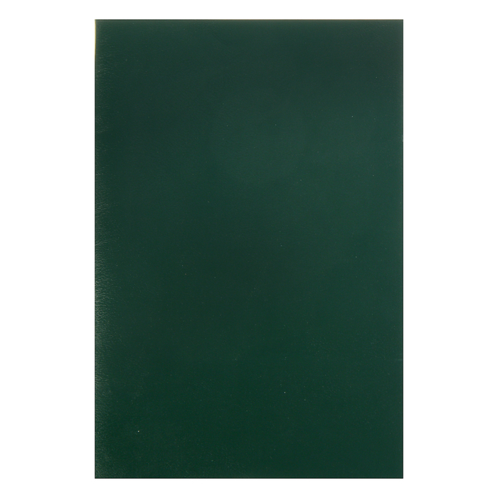 купить Тетрадь А4, 96 листов клетка Зелёная, обложка бумвинил