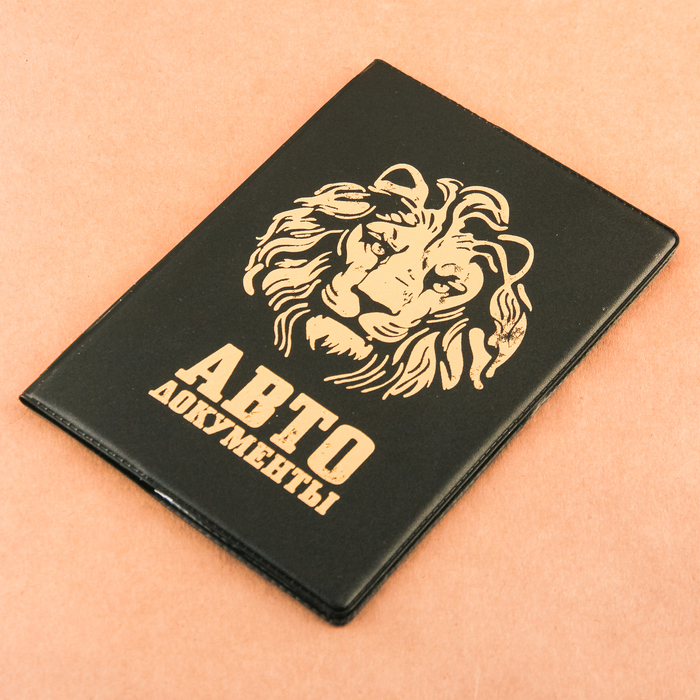 Набор: обложка для автодокументов и ручка "Лучшему мотоциклисту"