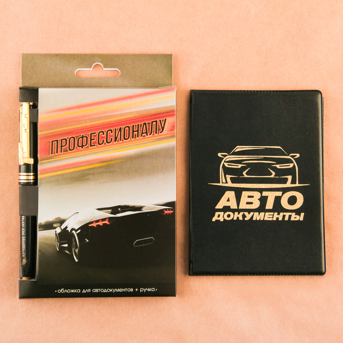 Набор: обложка для автодокументов и ручка "Профессионалу"