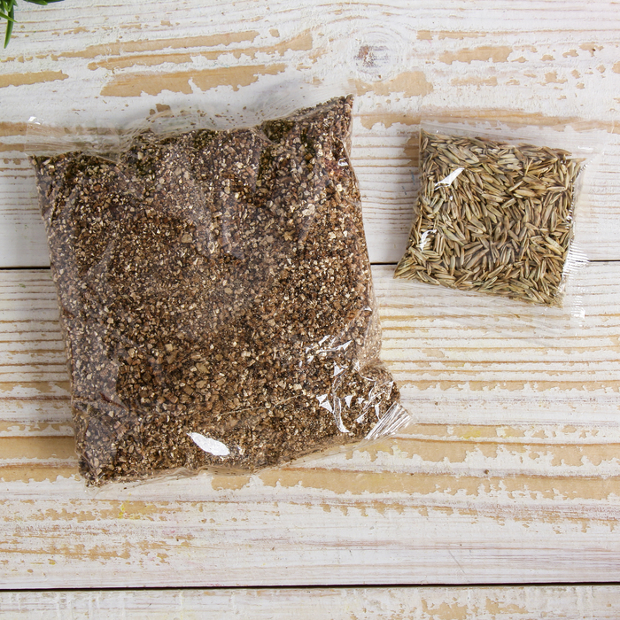 Растущая трава керамика "Лисёнок" 9х8х6 см