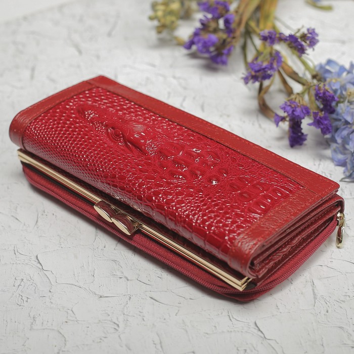 Кошелёк женский, 2 отдела рамка, 2 отдела на молнии, 2 отдела, для карт, для монет, цвет красный