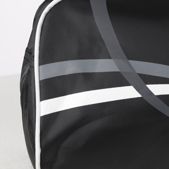 Сумка для обуви Крисс, 33*15*18, 1 отд на молнии, черный