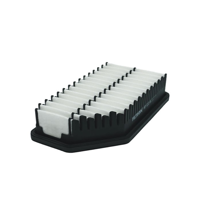 Фильтр воздушный FILTRON AP122/8