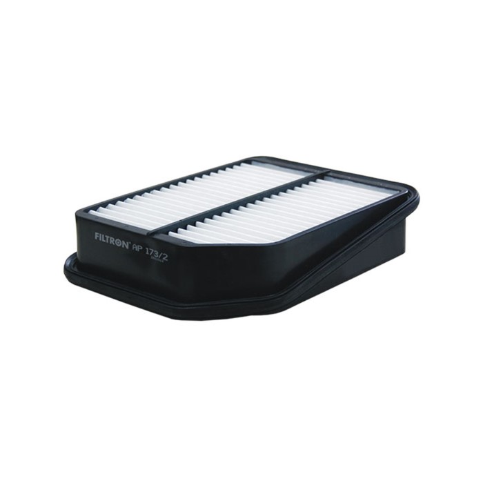 Фильтр воздушный FILTRON AP173/2