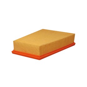 

Фильтр воздушный FILTRON AP185/3