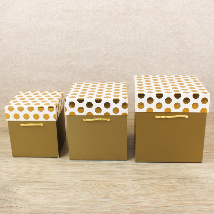 Набор коробок 3в1 "Золотой горох", 19,5 х 19,5 х 20 - 15,5 х 15,5 х 14,5 см