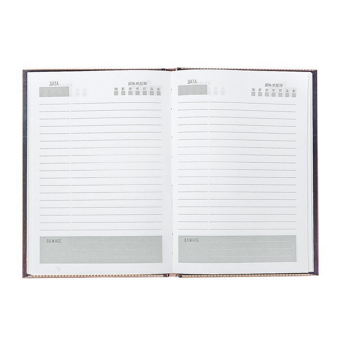 Ежедневник "Дневник моего успеха", твёрдая обложка, А5, 80 листов