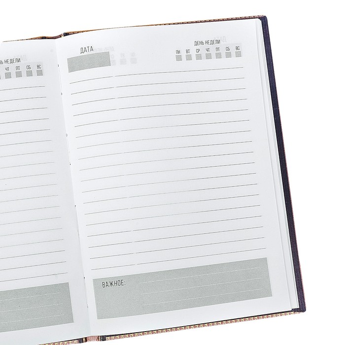 Ежедневник "Дневник моего успеха", твёрдая обложка, А5, 80 листов