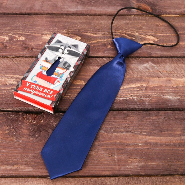 Детский галстук в подарочной коробке "У тебя все получится!"