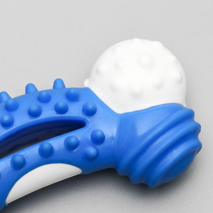 Игрушка двухслойная (твердый и мягкий пластик) "Изогнутая кость", 13 см, микс цветов