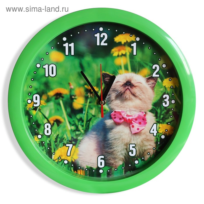 фото Часы настенные "котёнок", зелёный обод, 28х28 см, микс соломон