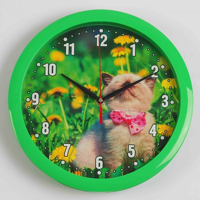 Часы настенные "Котёнок", зелёный обод, 28х28 см