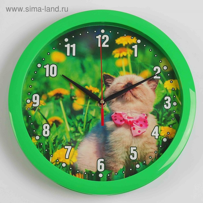 фото Часы настенные "котёнок", зелёный обод, 28х28 см, микс соломон