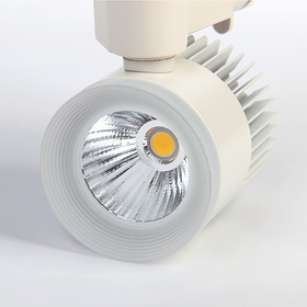 

Трековый светильник Luazon TSL-008, 24 deg, 12 W, 960 Lm, 4000 K, дневной белый, БЕЛЫЙ