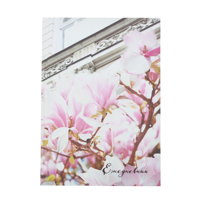 Ежедневник "Архитектура", твёрдая обложка, А5, 80 листов