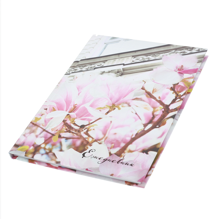 Ежедневник "Архитектура", твёрдая обложка, А5, 80 листов