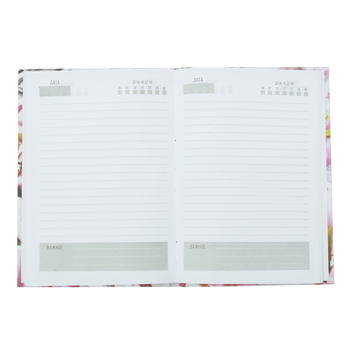 Ежедневник "Архитектура", твёрдая обложка, А5, 80 листов