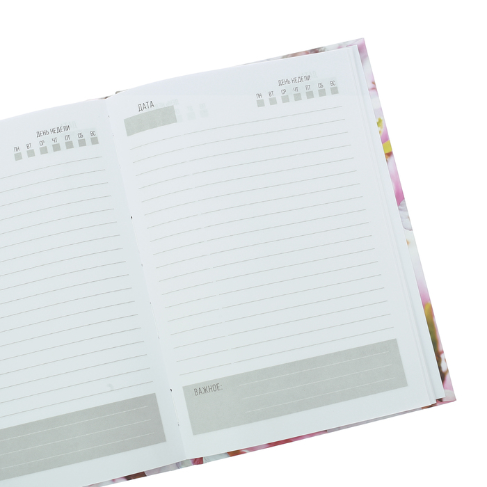 Ежедневник "Архитектура", твёрдая обложка, А5, 80 листов