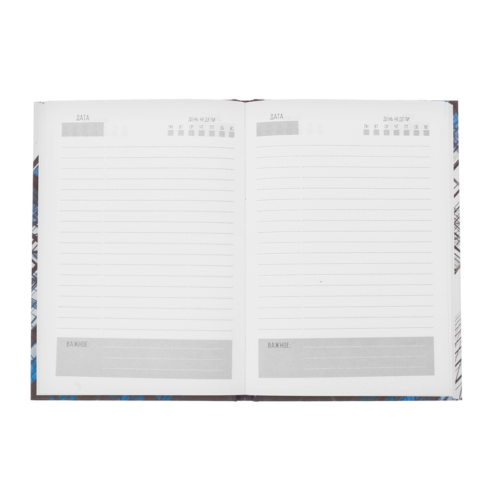Ежедневник "Самолёт", твёрдая обложка, А5, 80 листов