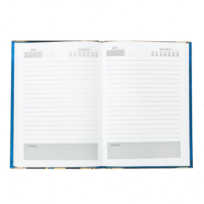 Ежедневник в подарочной коробке "Секреты богатства и процветания", твёрдая обложка, А5, 80 листов