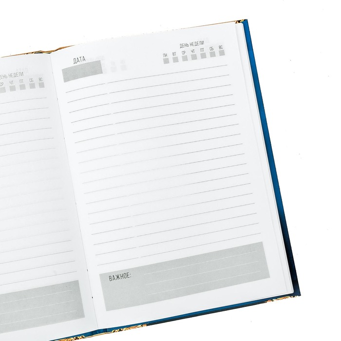 Ежедневник в подарочной коробке "Секреты богатства и процветания", твёрдая обложка, А5, 80 листов