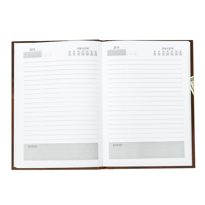 Ежедневник в подарочной коробке "Лидер во всём", твёрдая обложка, А5, 80 листов