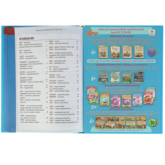 Школьный словарик "Словарь омонимов в картинках. Косарь косой косу косил…", твердая обложка