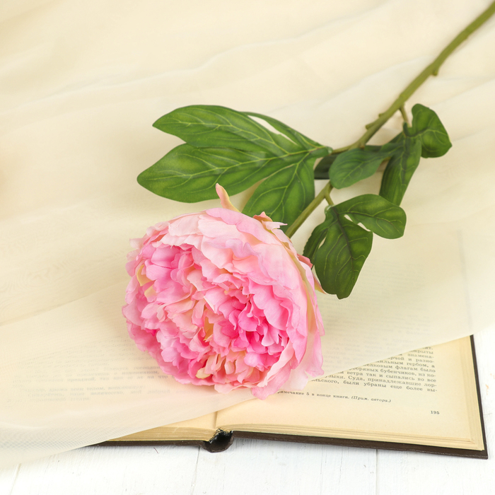 Цветок искусственный "Пион Сорбет" 12*70 см, розовый