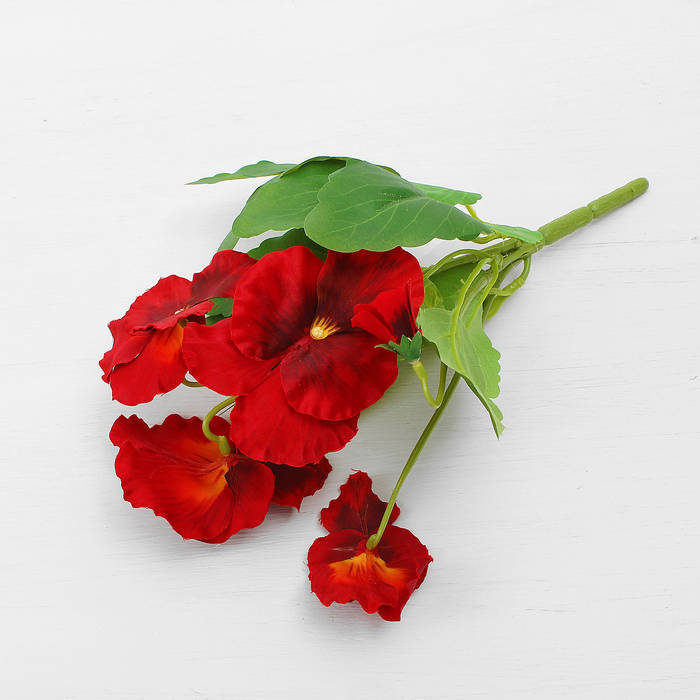 Букет "Анютины глазки Адонис" 25 см, красный