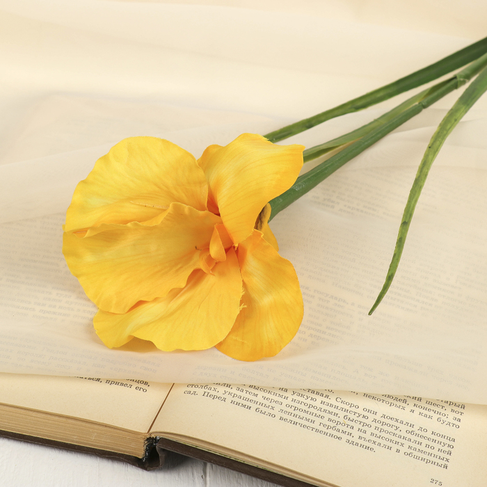 Цветок искусственный "Ирис Звездопад" 50 см, жёлтый