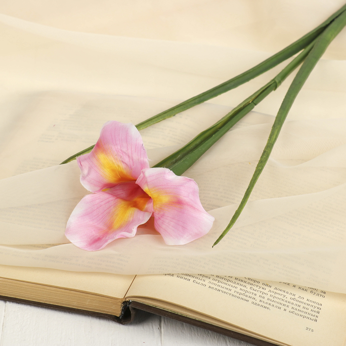 Цветок искусственный "Ирис Звездопад" 50 см, розовый