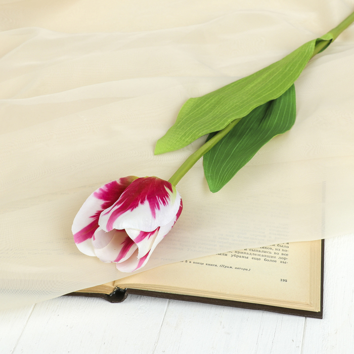 Цветок искусственный "Тюльпан Стреза" 5*56 см, бело-малиновый